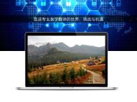 走进专业医学翻译的世界:挑战与机遇