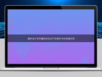 解析电子专利翻译在知识产权保护中的关键作用